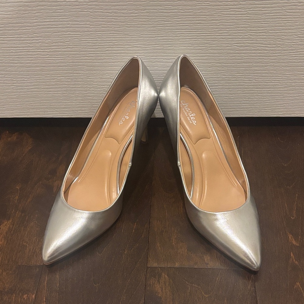 Charles David Silver Women's Heels
Worn Once